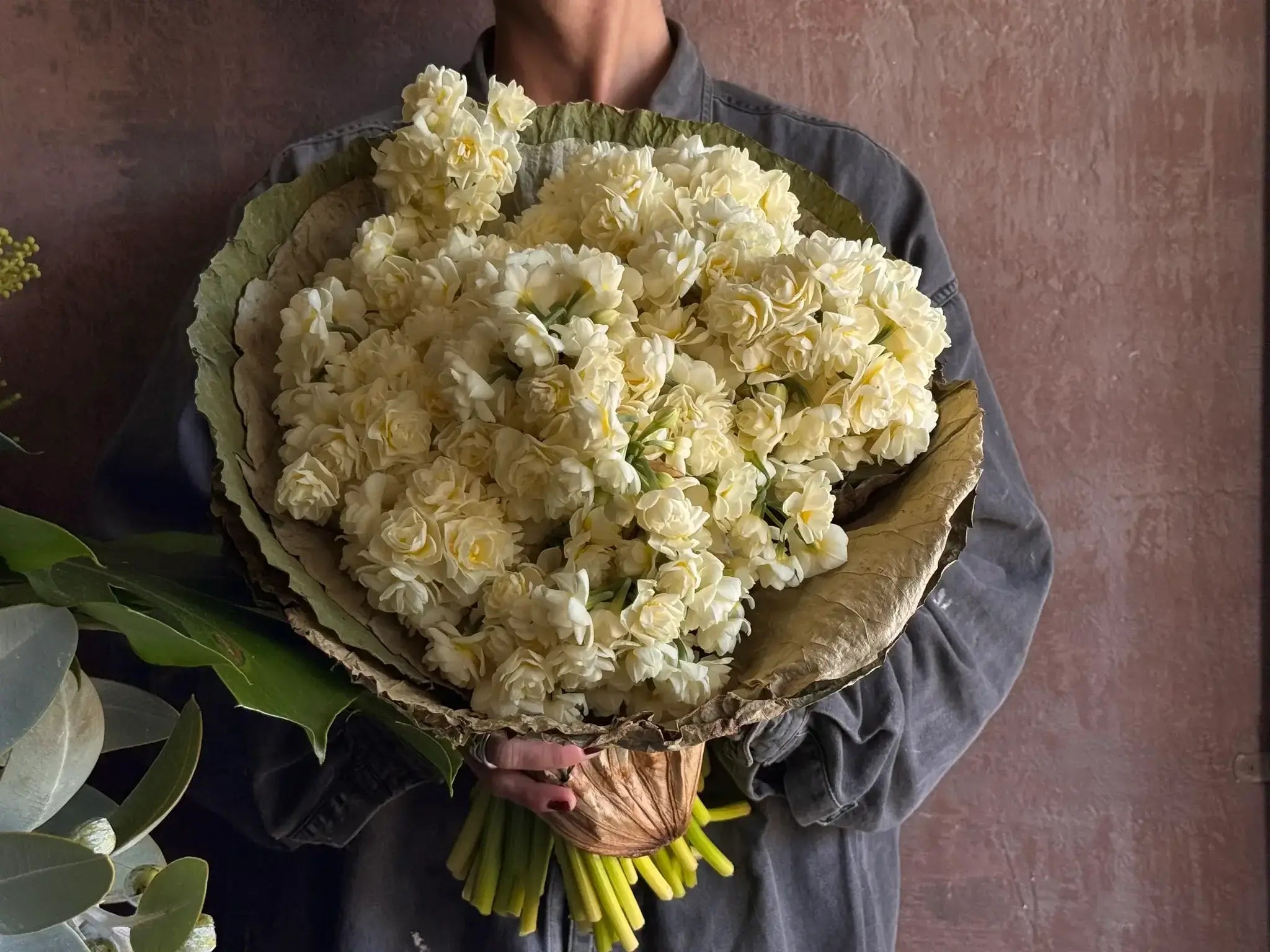 Winter Series - Fragrant Jonquils