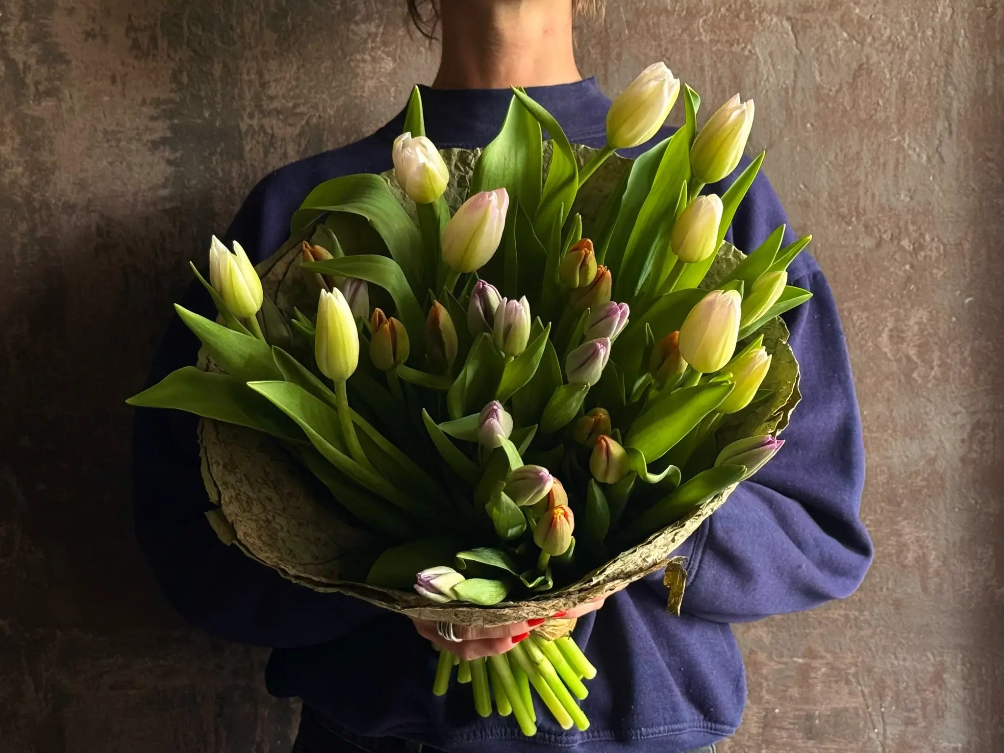 Winter Series -  Tulips
