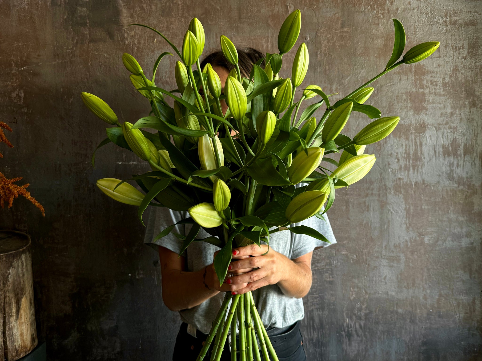 Fragrant Oriental Lillies